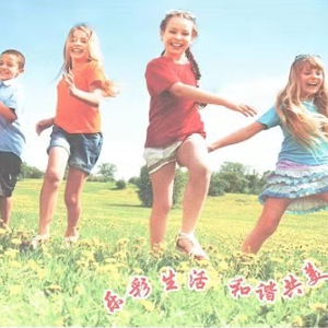 滤筒除尘器的气量分布板介绍